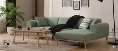 تخصص و تجربه